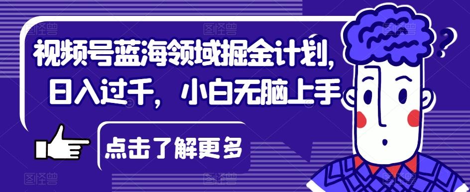 视频号蓝海领域掘金计划，日入过千，小白无脑上手【揭秘】-极速轻创