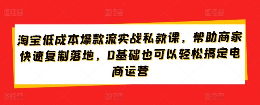 淘宝低成本爆款流实战私教课，帮助商家快速复制落地，0基础也可以轻松搞定电商运营-极速轻创