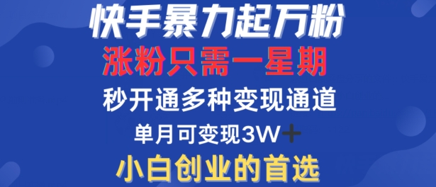快手暴力起万粉，涨粉只需一星期，多种变现模式，直接秒开万合，单月变现过W【揭秘】-极速轻创