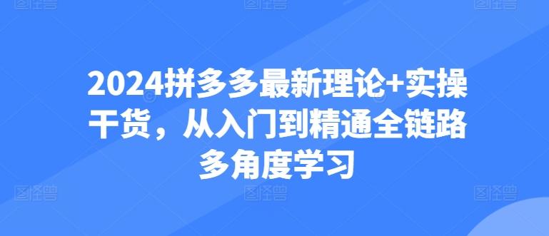 2024拼多多最新理论+实操干货，从入门到精通全链路多角度学习-极速轻创