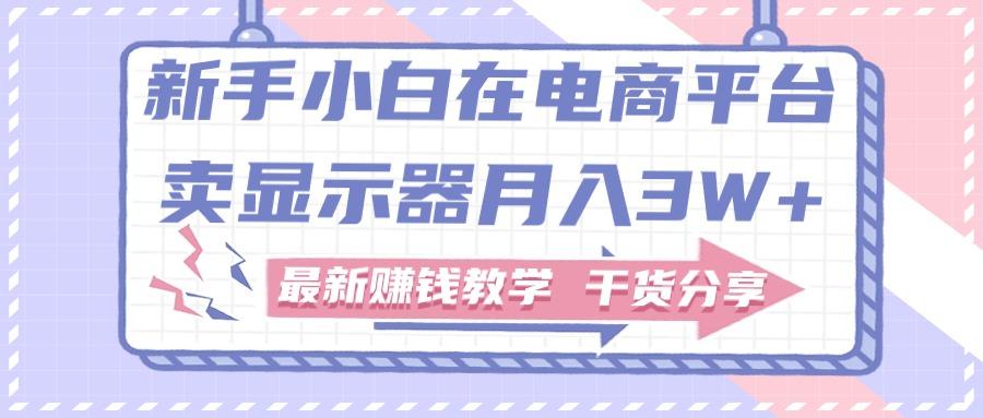 新手小白如何做到在电商平台卖显示器月入3W+，最新赚钱教学干货分享-极速轻创