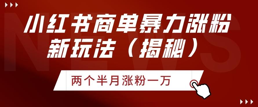 小红书商单暴力涨粉新玩法两个半月涨粉一万（揭秘）-极速轻创