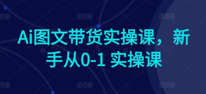 Ai图文带货实操课，新手从0-1 实操课-极速轻创