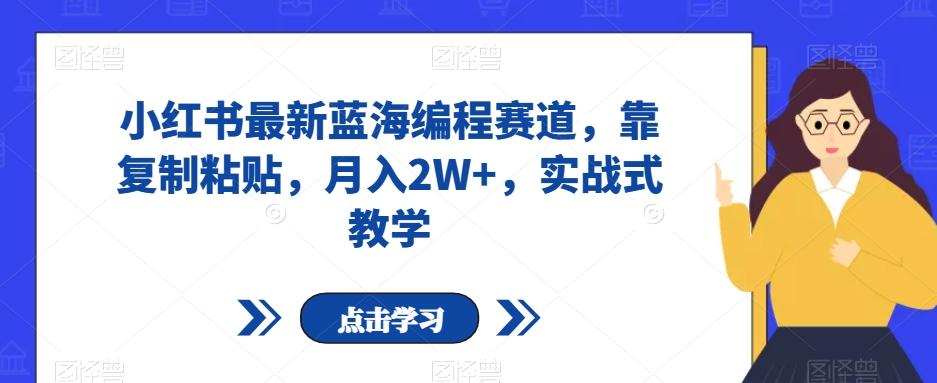 小红书最新蓝海编程赛道，靠复制粘贴，月入2W+，实战式教学【揭秘】-极速轻创