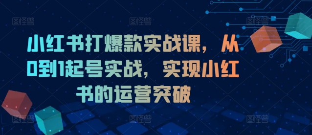 小红书打爆款实战课，从0到1起号实战，实现小红书的运营突破-极速轻创