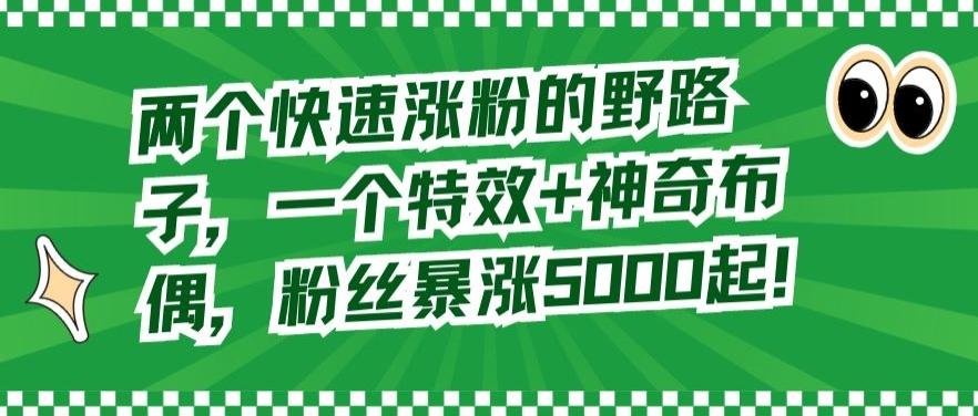两个快速涨粉的野路子，一个特效+神奇布偶，粉丝暴涨5000起【揭秘】-极速轻创