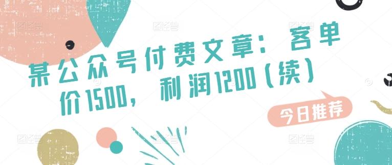 某公众号付费文章：客单价1500，利润1200(续)，市场几乎可以说是空白的-极速轻创