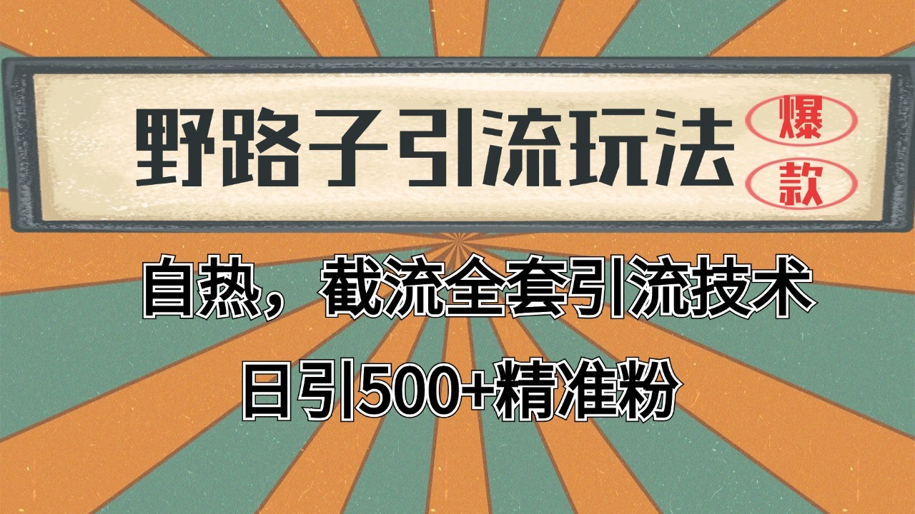 抖音小红书视频号全平台引流打法，全自动引流日引2000+精准客户-极速轻创