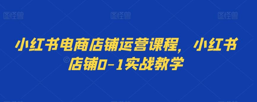 小红书电商店铺运营课程，小红书店铺0-1实战教学-极速轻创