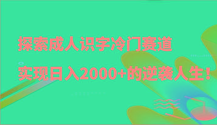 探索成人识字冷门赛道，实现日入2000+的逆袭人生！-极速轻创