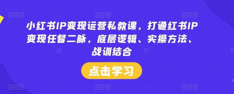 小红书IP变现运营私教课，打通红书IP变现任督二脉，底层逻辑、实操方法、战训结合-极速轻创