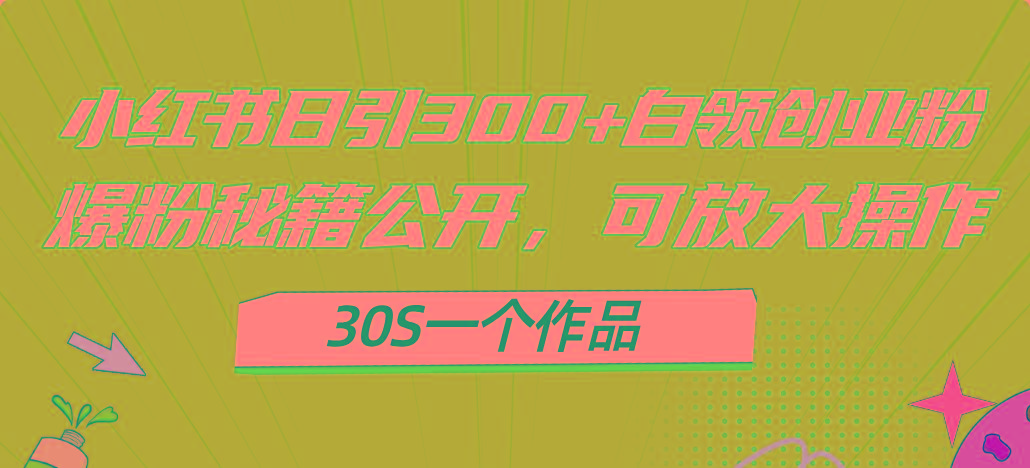 小红书日引300+高质白领创业粉，可放大操作，爆粉秘籍！30s一个作品-极速轻创