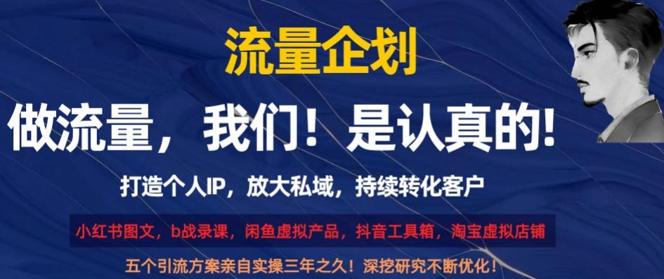 流量企划，打造个人IP，放大私域，持续转化客户【揭秘】-极速轻创