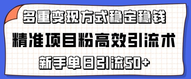 精准项目粉高效引流术，新手单日引流50+，多重变现方式稳定赚钱【揭秘】-极速轻创