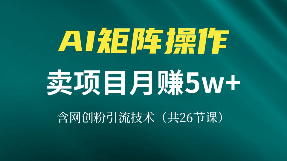 网创IP打造课，借助AI卖项目月赚5万+，含引流技术(共26节课-极速轻创