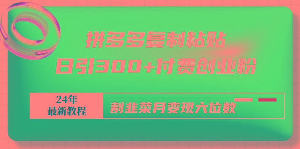 拼多多复制粘贴日引300+付费创业粉，割韭菜月变现六位数最新教程！-极速轻创