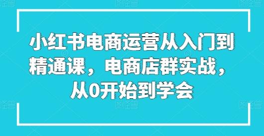 小红书电商运营从入门到精通课，电商店群实战，从0开始到学会-极速轻创