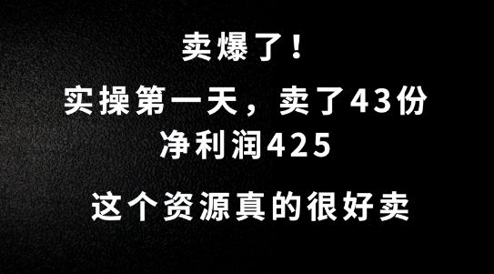 这个资源，需求很大，实操第一天卖了43份，净利润425【揭秘】-极速轻创