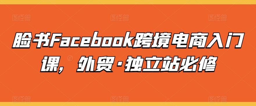 脸书Facebook跨境电商入门课，外贸·独立站必修-极速轻创