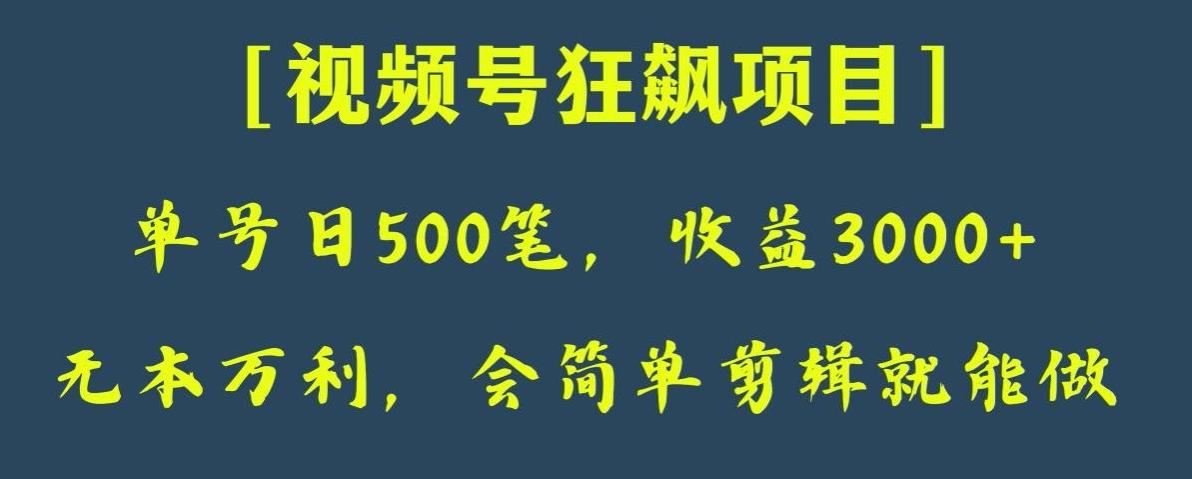 日收款500笔，纯利润3000+，视频号狂飙项目，会简单剪辑就能做【揭秘】-极速轻创