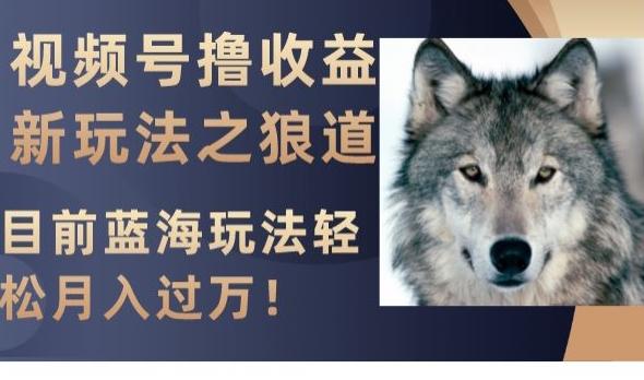 视频号撸收益新玩法之狼道，目前蓝海玩法，轻松月入过万【揭秘】-极速轻创