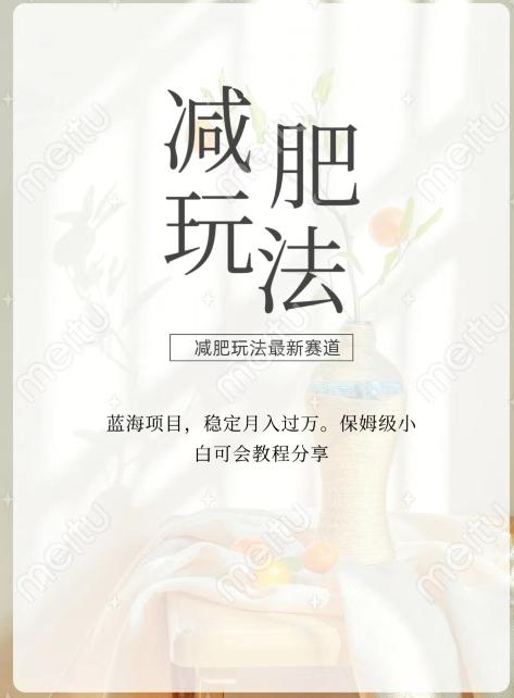 减肥流量主新玩法，轻松月入1W，可矩阵操作收入翻倍-极速轻创