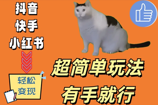 超简单玩法，有手就行，靠猫咪视频日入500+【揭秘】-极速轻创
