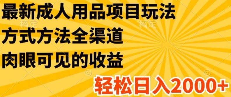 最新成人用品项目玩法，方式方法全渠道，轻松日入2K+【揭秘】-极速轻创
