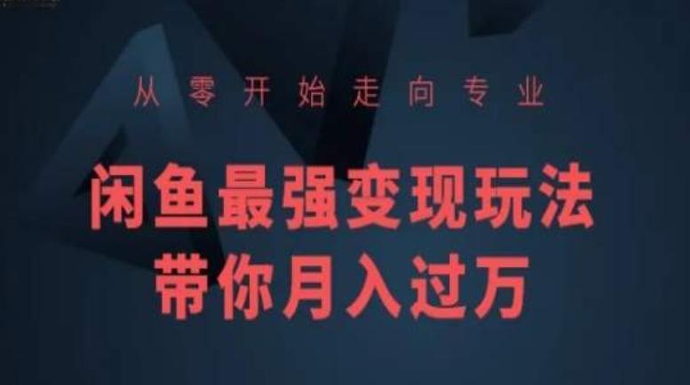 从零开始走向专业，闲鱼最强变现玩法带你月入过万-极速轻创