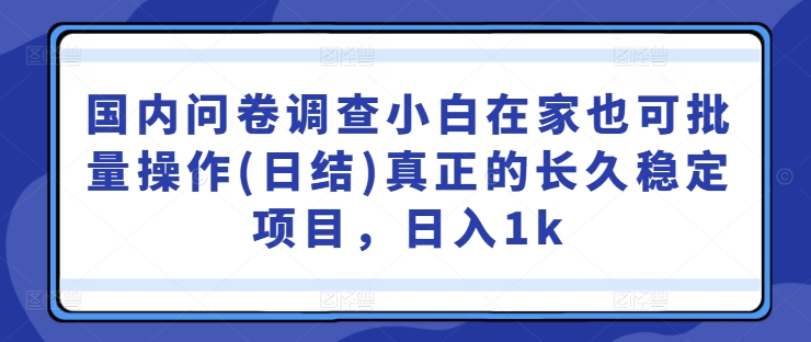国内问卷调查小白在家也可批量操作(日结)真正的长久稳定项目，日入1k【揭秘】-极速轻创
