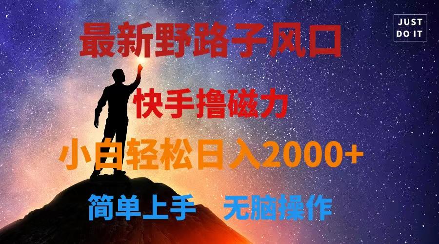 最新风口！快手撸磁力，野路子，小白无脑操作日入2000+-极速轻创