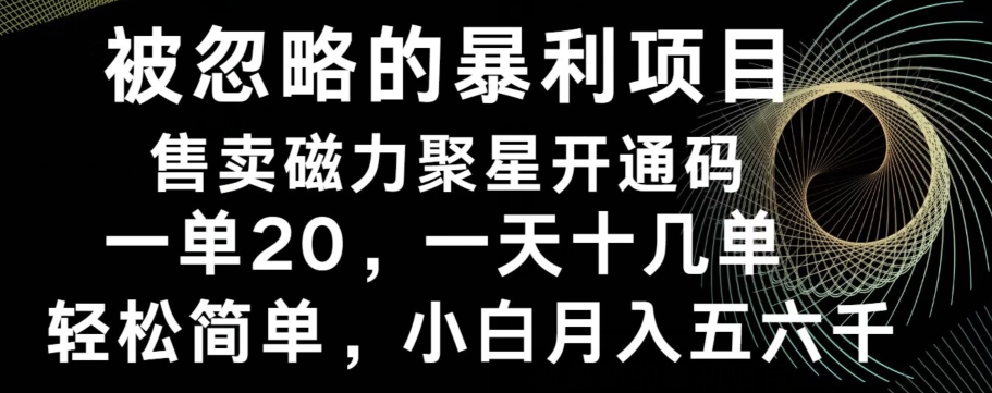 被忽略的暴利项目！售卖磁力聚星开通码，一单20，一天十几单，轻松月入五六千-极速轻创