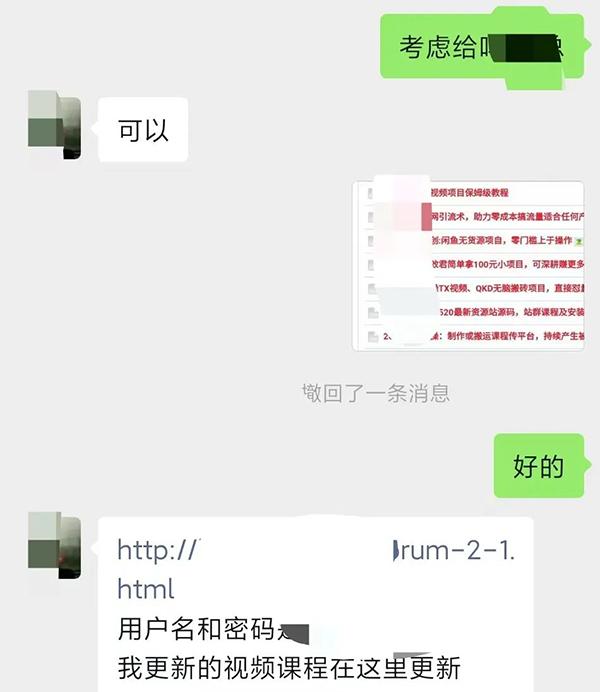 图片[3]-某收费培训：如何一个月快速做出盈利的资源网站(实打实经验)-18节无水印-极速轻创