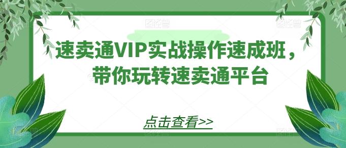 速卖通VIP实战操作速成班，带你玩转速卖通平台-极速轻创