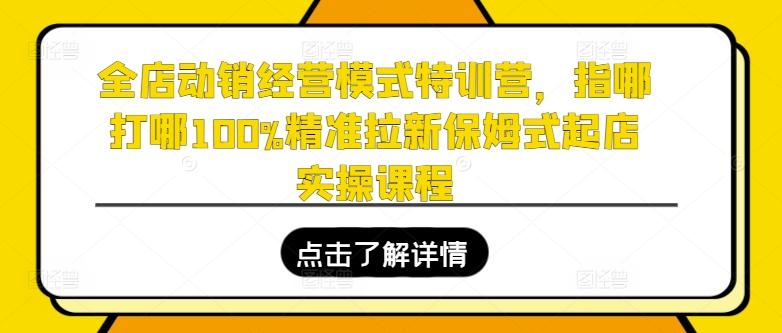 全店动销经营模式特训营，指哪打哪100%精准拉新保姆式起店实操课程-极速轻创