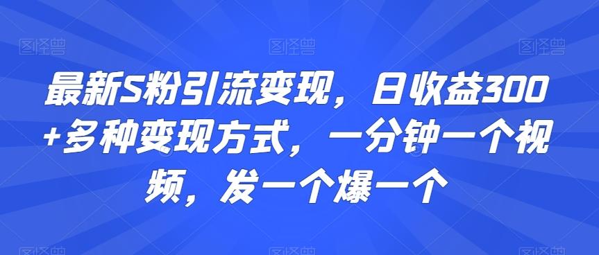 最新S粉引流变现，日收益300+多种变现方式，一分钟一个视频，发一个爆一个【揭秘】-极速轻创