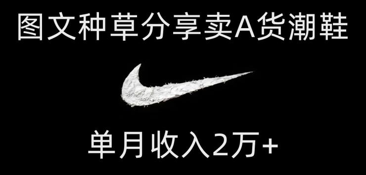 靠图文种草分享卖A货潮鞋，每天一小时，单月收入2万+【揭秘】-极速轻创
