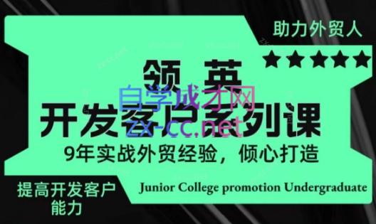 城哥·领英开发客户系列课-极速轻创