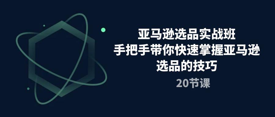亚马逊选品实战班，手把手带你快速掌握亚马逊选品的技巧(20节课-极速轻创