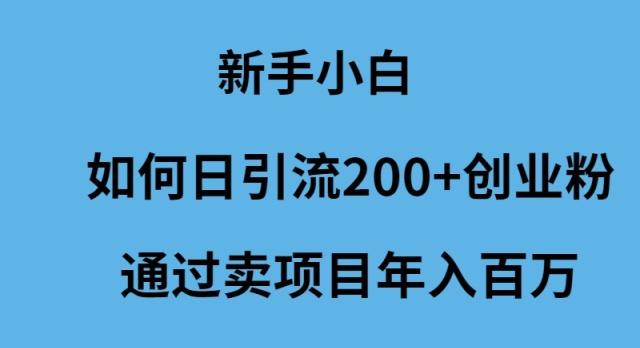 (9668期)新手小白如何日引流200+创业粉通过卖项目年入百万-极速轻创