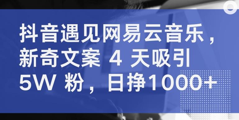 抖音遇见网易云音乐，新奇文案 4 天吸引 5W 粉，日挣1000+【揭秘】-极速轻创