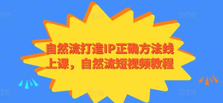自然流打造IP正确方法线上课，自然流短视频教程-极速轻创