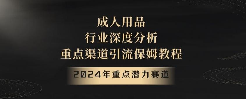 2024年重点潜力赛道，成人用品行业深度分析，重点渠道引流保姆教程【揭秘】-极速轻创