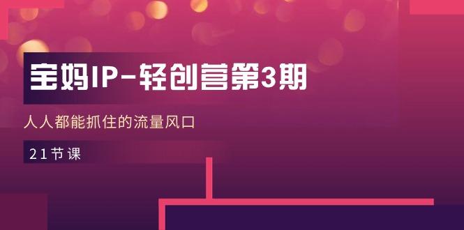 宝妈IP-轻创营第3期，人人都能抓住的流量风口(21节课-极速轻创