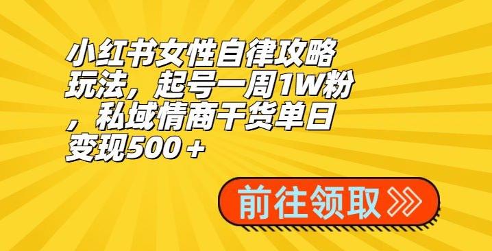 小红书女性自律攻略玩法，起号一周1W粉，私域情商干货单日变现500＋-极速轻创