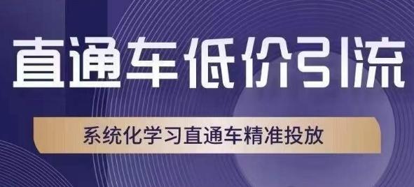 直通车低价引流课，系统化学习直通车精准投放-极速轻创