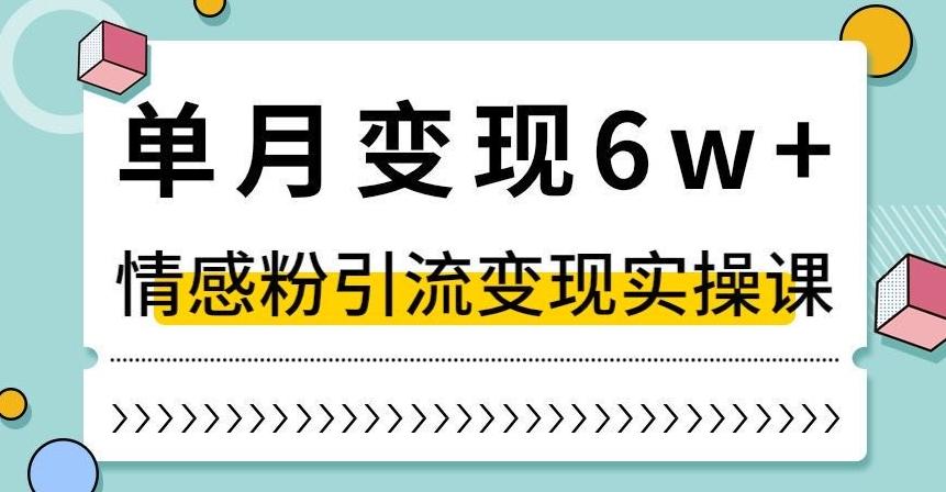 单月变现6W+，抖音情感粉引流变现实操课，小白可做，轻松上手，独家赛道【揭秘】-极速轻创