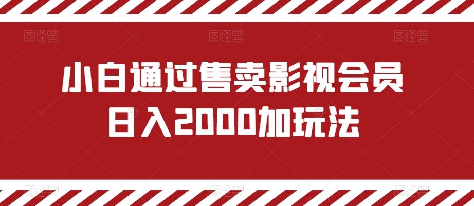 小白通过售卖影视会员日入2000加玩法-极速轻创