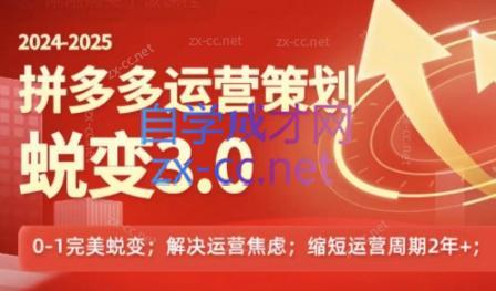 大力老师·2024拼多多运营策略蜕变3.0-极速轻创