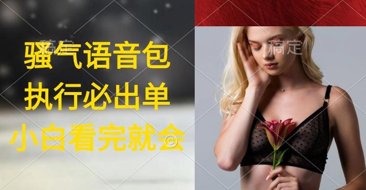 (9589期)执行就出单，日入2000+，超火骚气语音包，小白看完课程就能马上实操-极速轻创